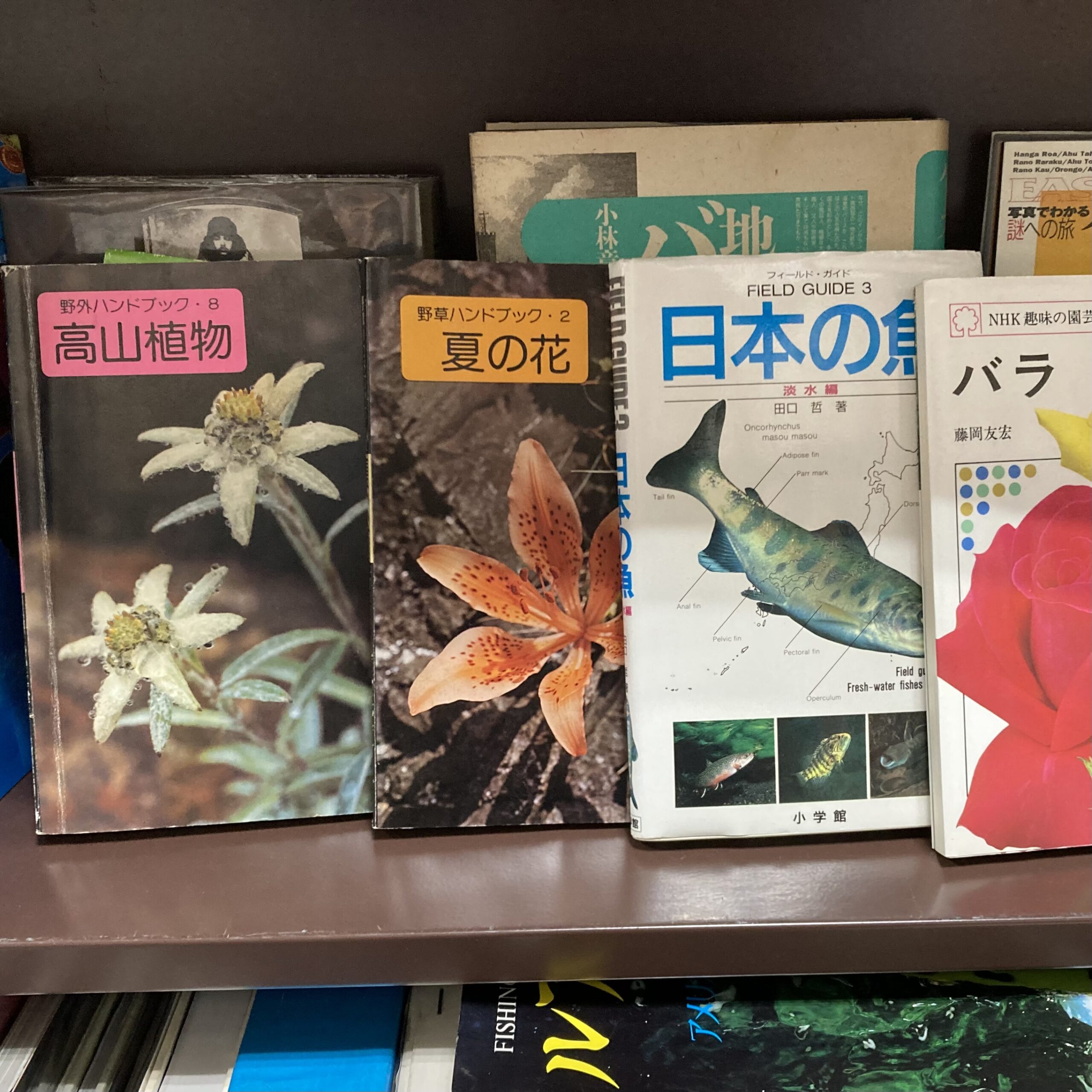 自然科学の新入荷｜自然科学コーナーより