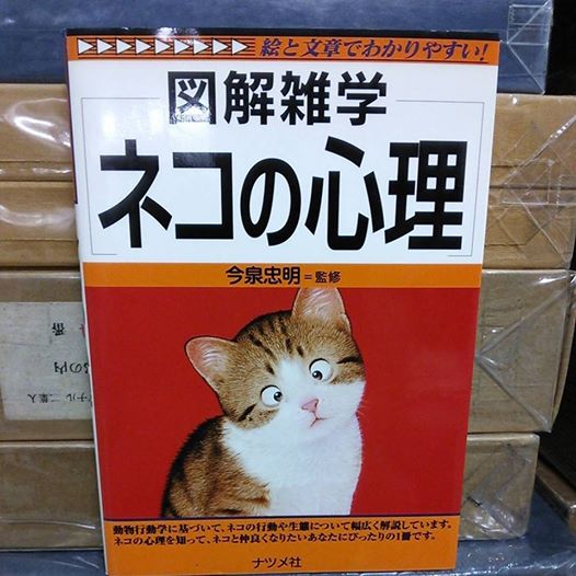 図解雑学 ネコの心理