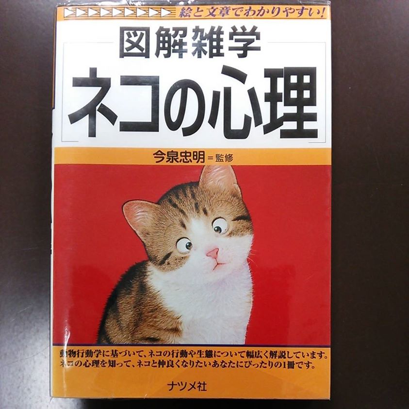 図解雑学 ネコの心理