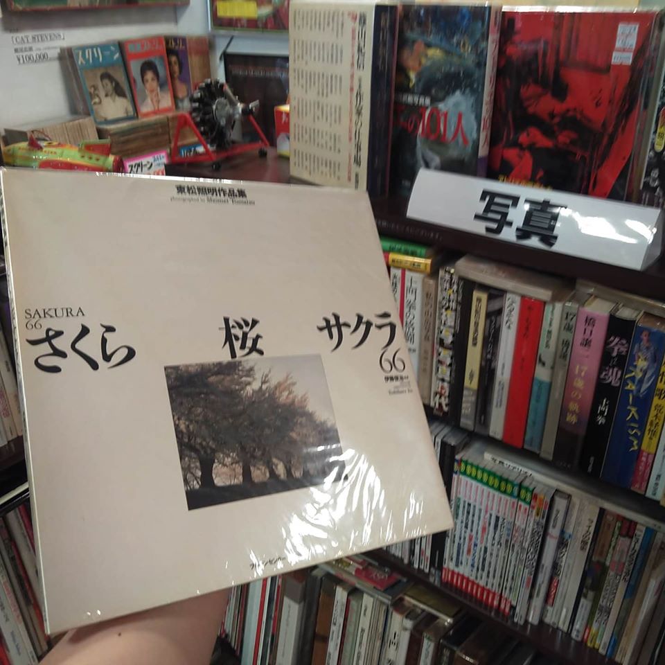 写真集｜古書買取り澤口書店