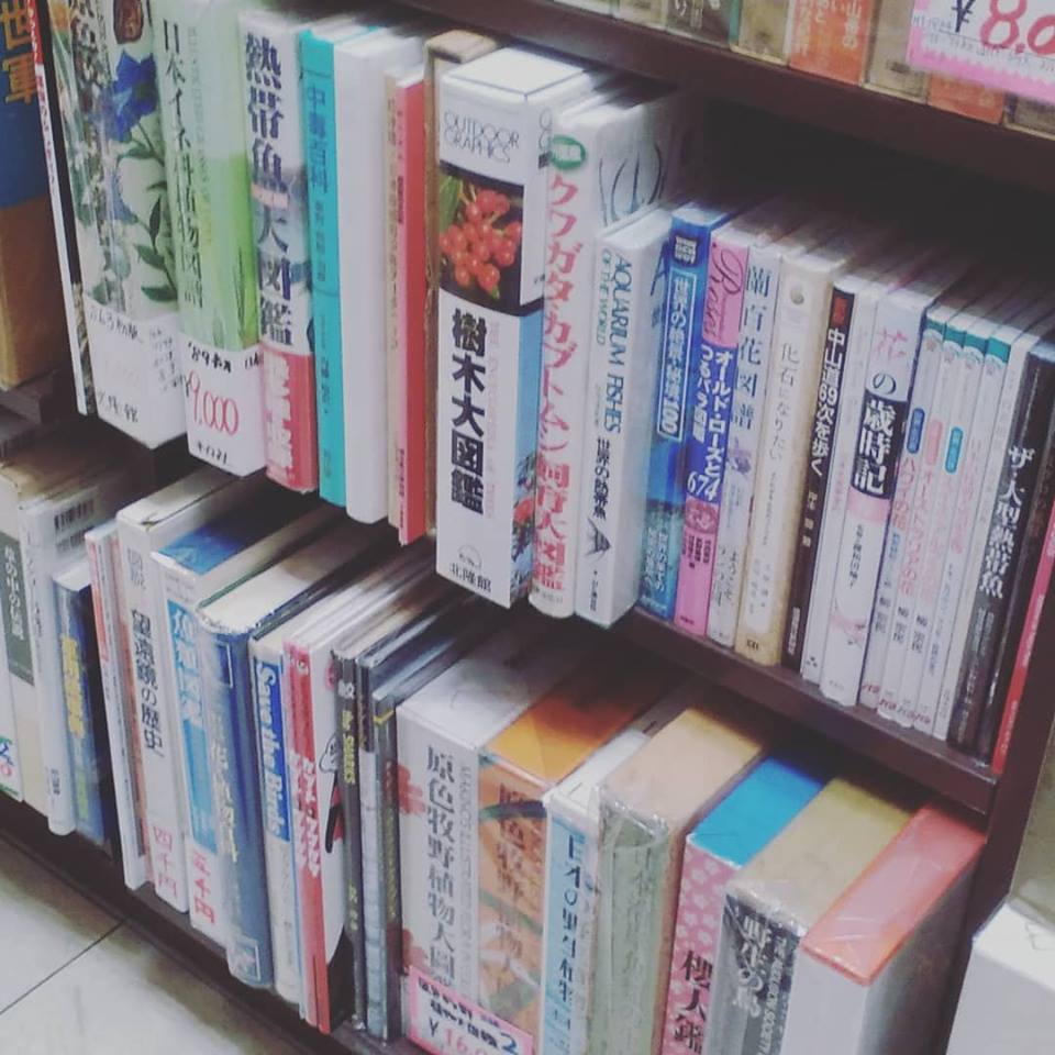 自然科学｜古書買取り澤口書店
