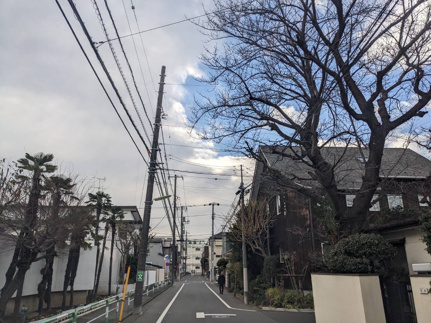 狛江市・世田谷区での古本出張買取の様子