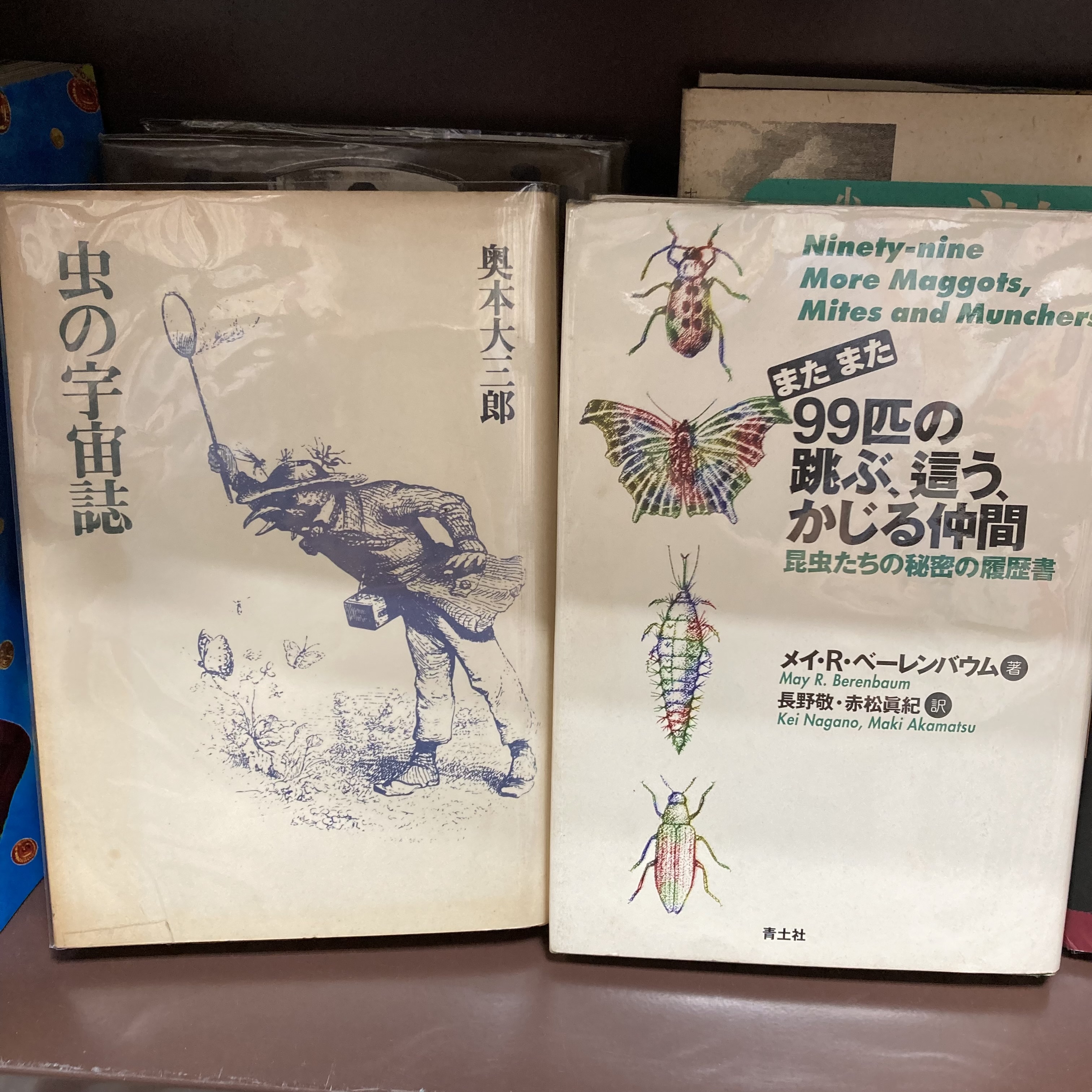 自然科学の新入荷｜自然科学コーナーより
