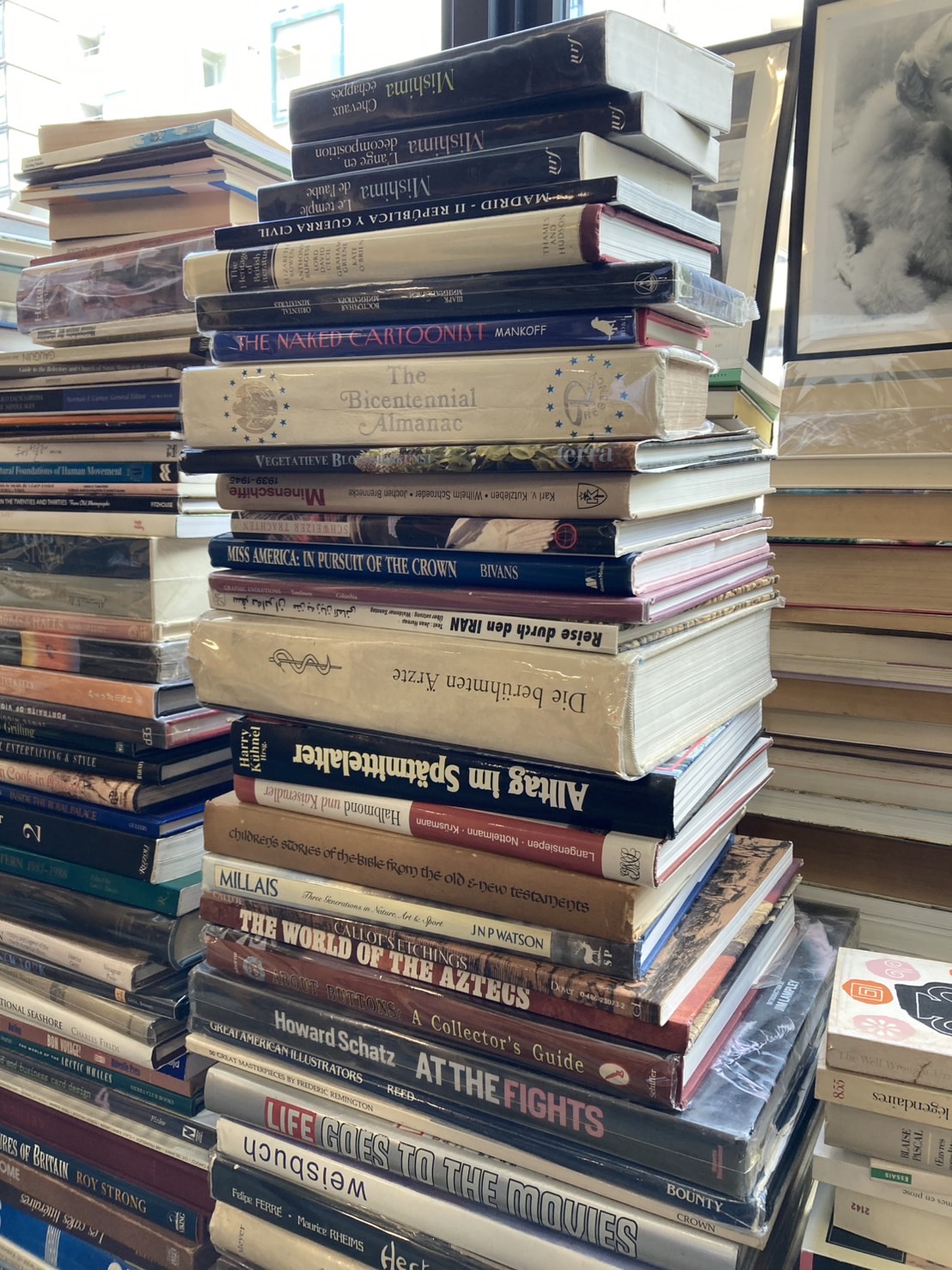 洋書の新入荷|洋書コーナーより(2)