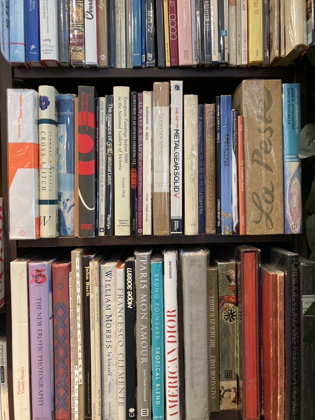 洋書の新入荷|洋書コーナーより(4)