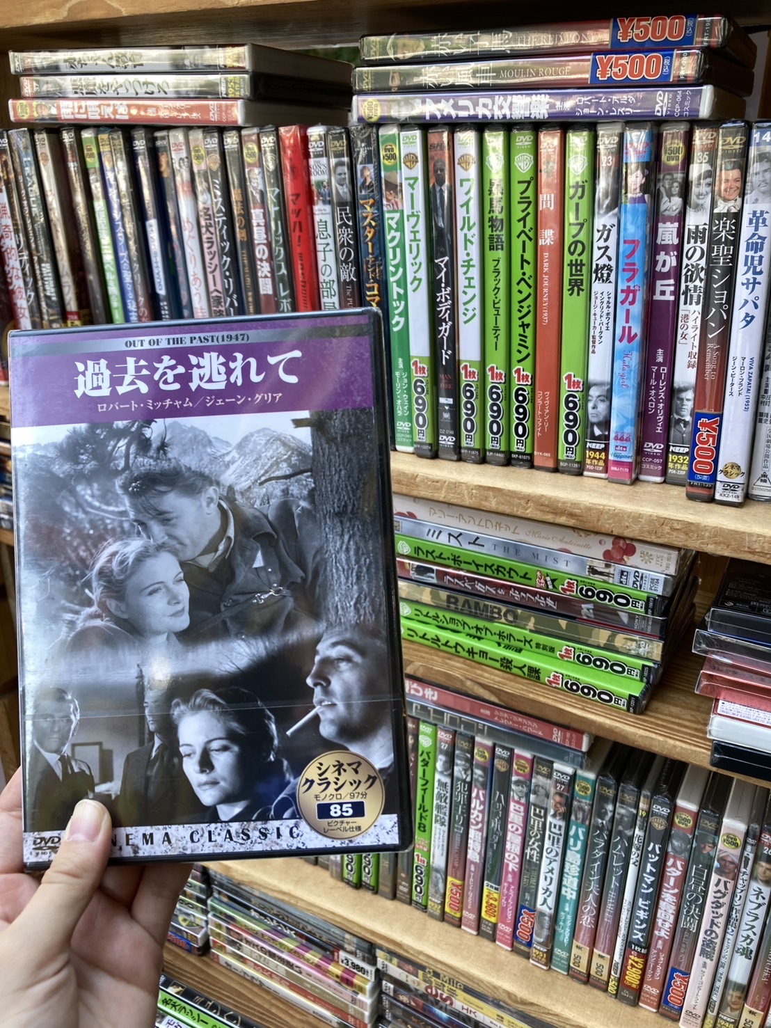 映画DVD の新入荷｜店前特設コーナーより