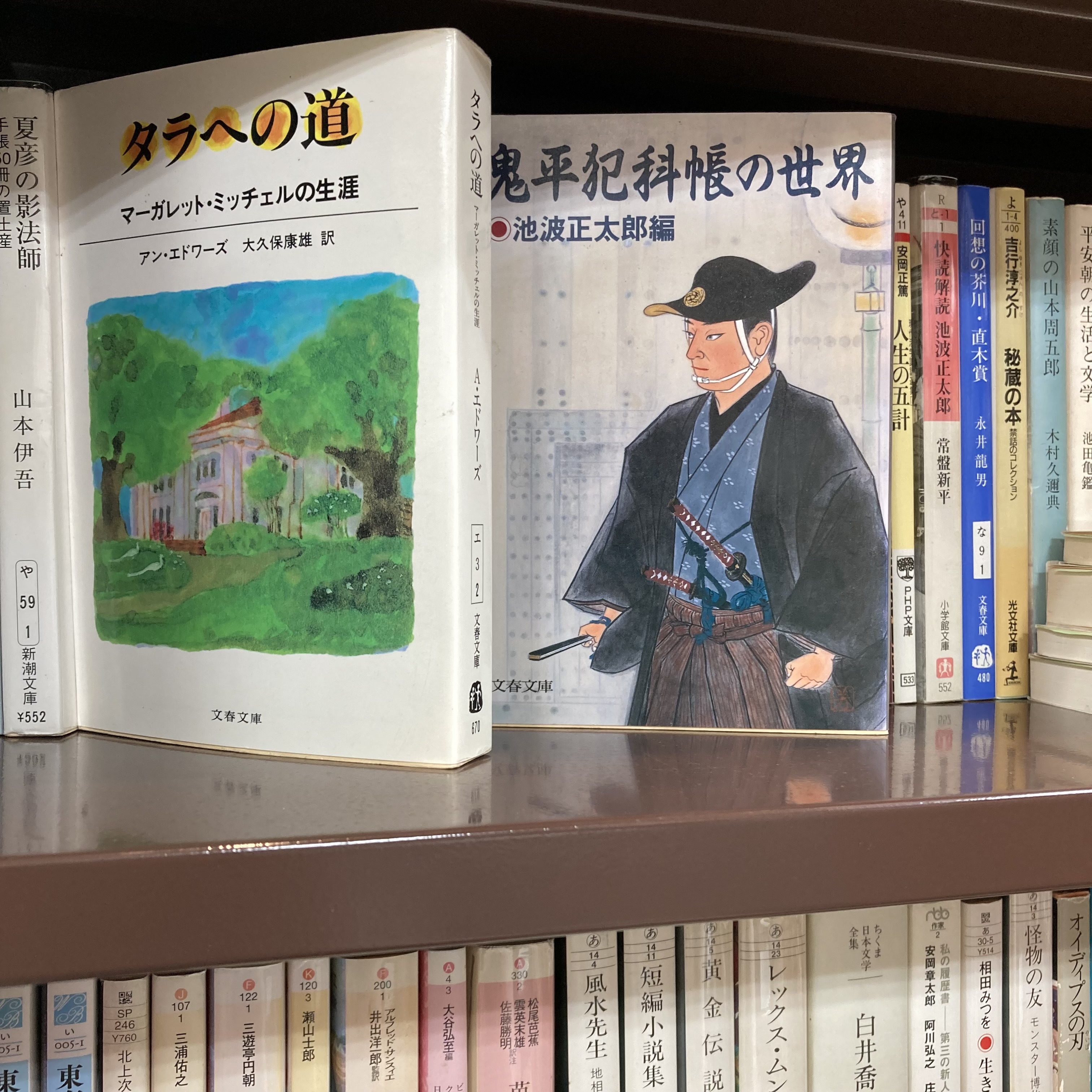 文庫の新入荷｜文庫コーナーより（2）