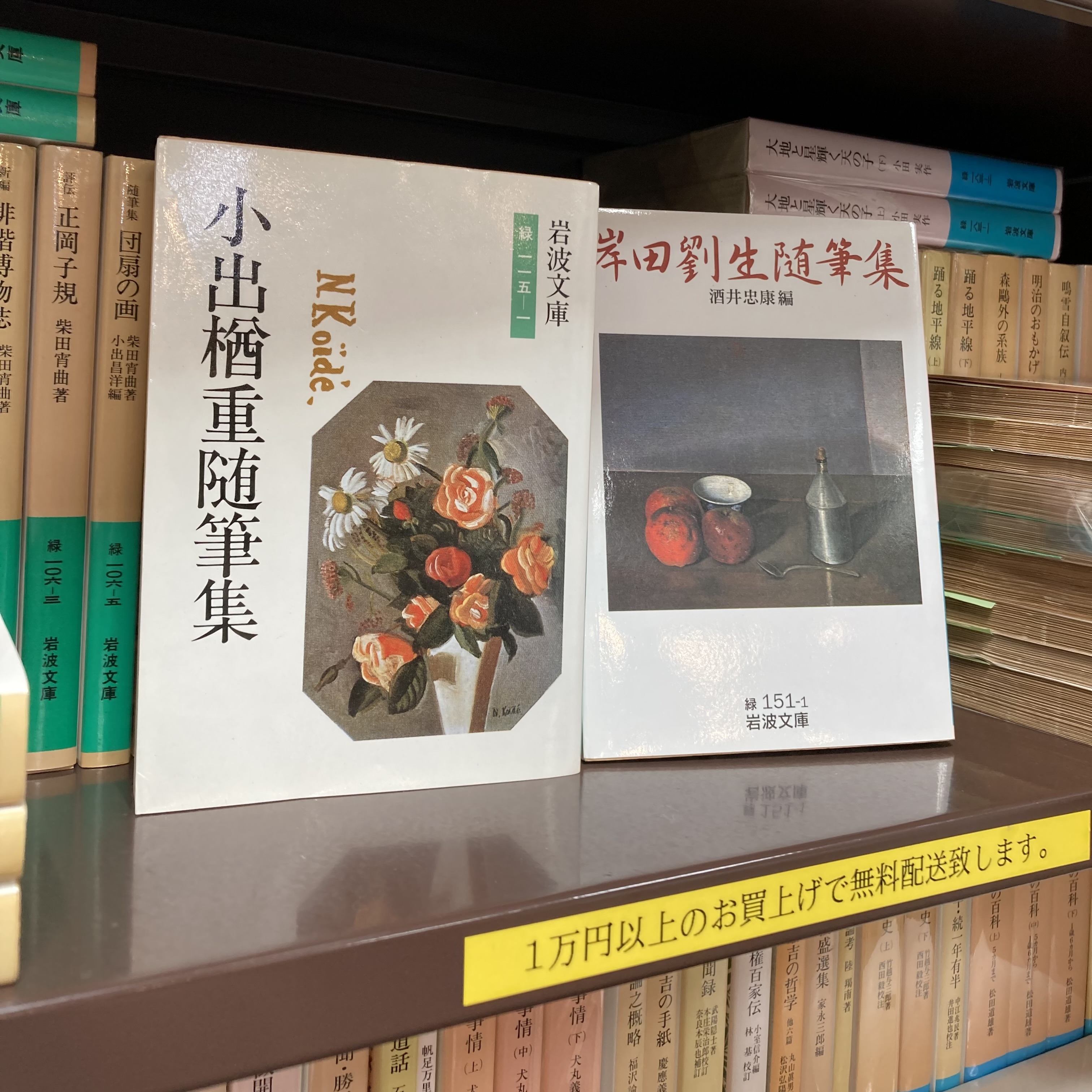 文庫の新入荷｜文庫コーナーより（3）