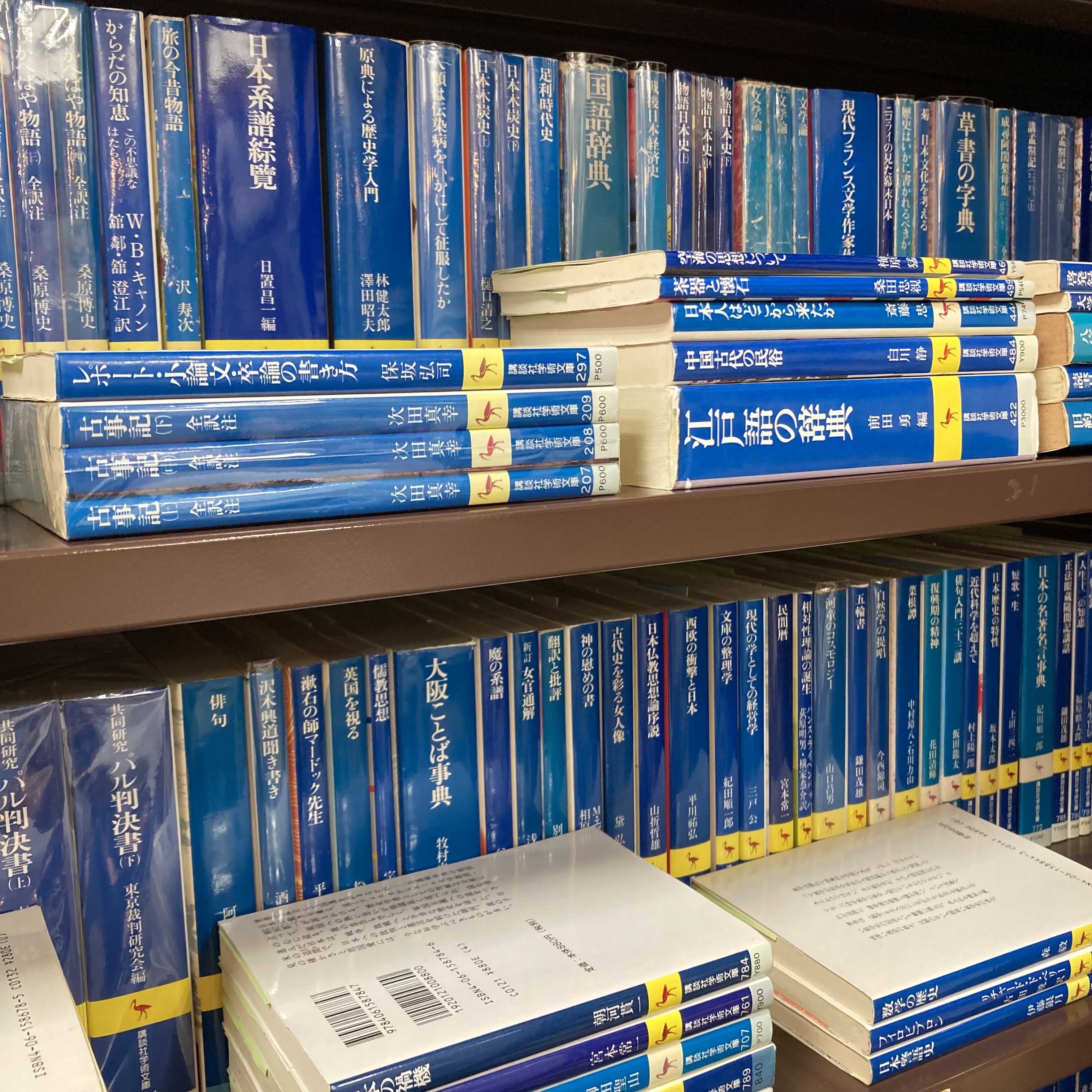 文庫の新入荷｜文庫コーナーより（4）