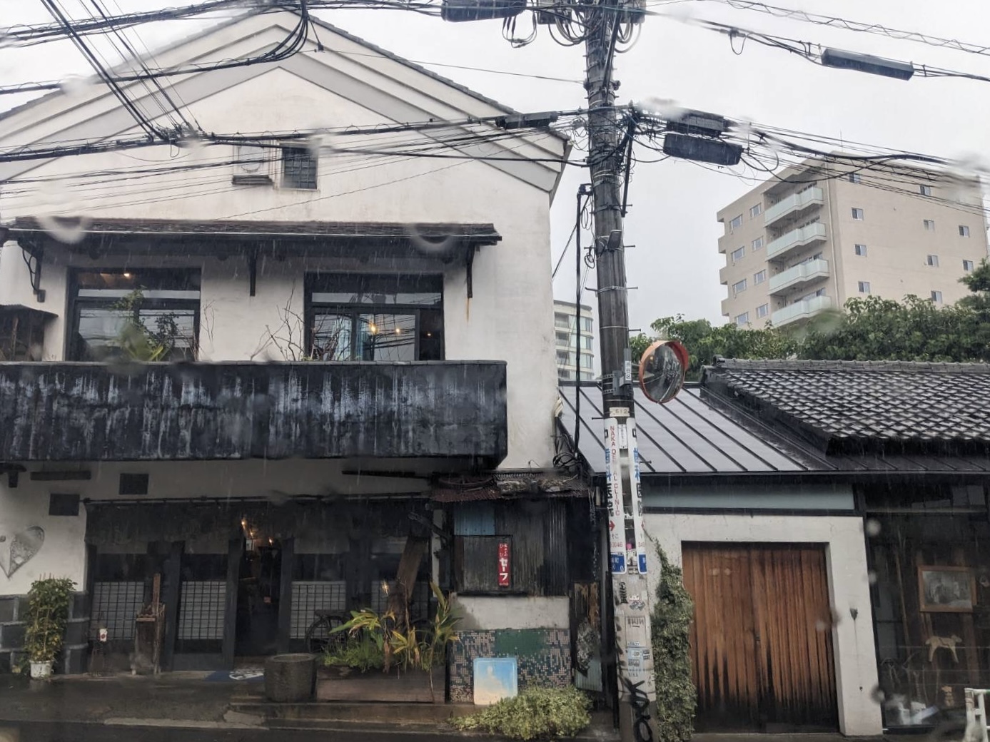 文京区・渋谷区での古本出張買取の様子
